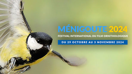 Festival International du Film Ornithologique Ménigoute